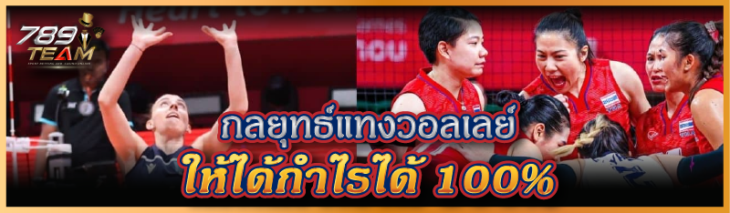 กลยุทธ์แทงวอลเลย์ ให้ได้กำไรได้ 100%